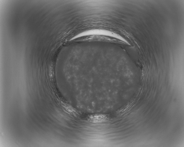 X0000051890517200507222019