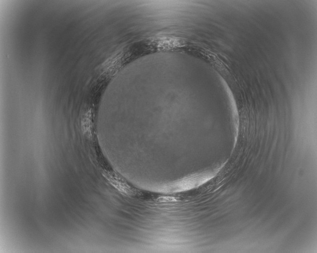 X0000051890519200507222019