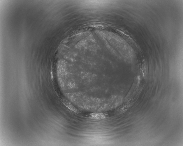 X0000051890520200507222019