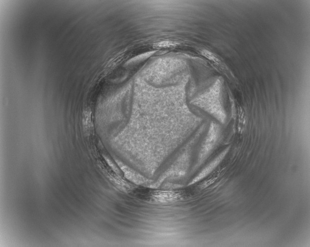 X0000051890521200507222019