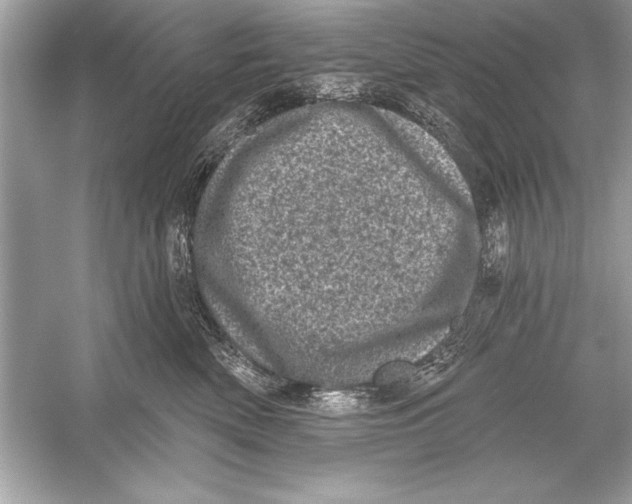 X0000051890522200507222019