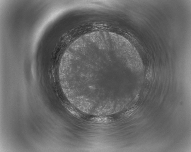 X0000051890524200507222019