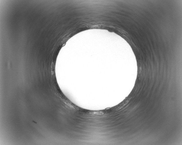 X0000051890525200507222019