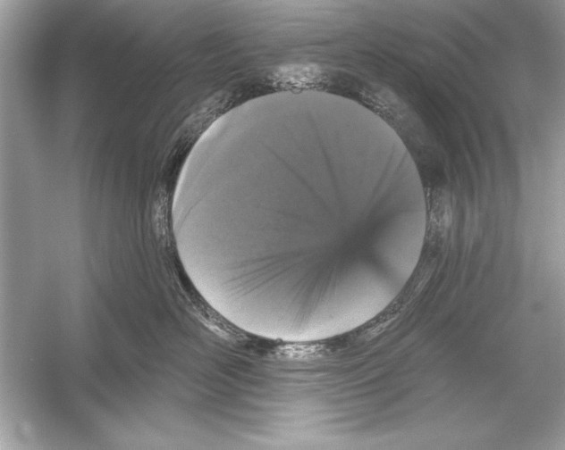 X0000051890526200507222019