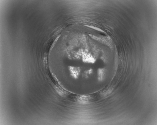 X0000051890527200507222019