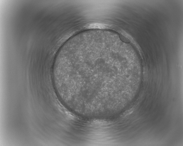 X0000051890529200507222018