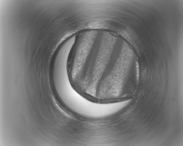 X0000051890530200507222018