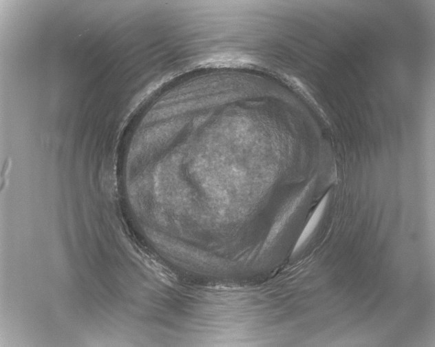 X0000051890531200507222018