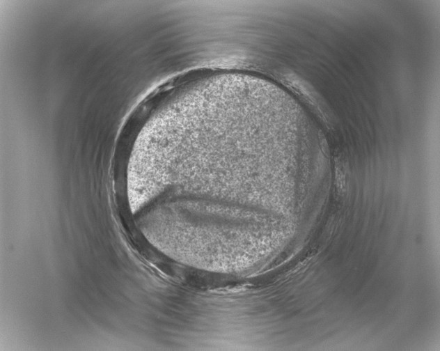 X0000051890532200507222018