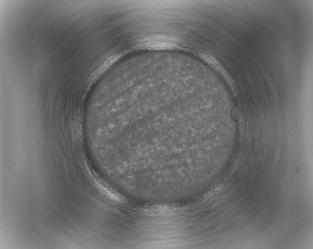 X0000051890533200507222018