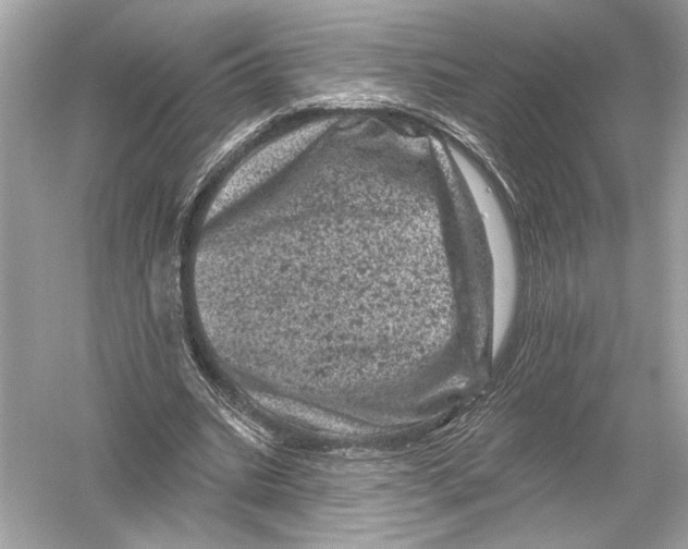 X0000051890535200507222018