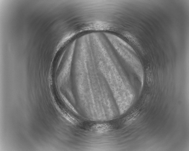 X0000051890536200507222018