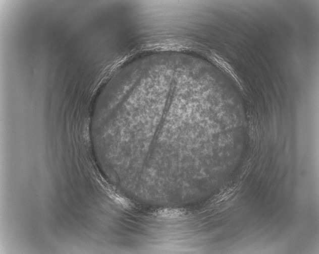 X0000051890537200507222018