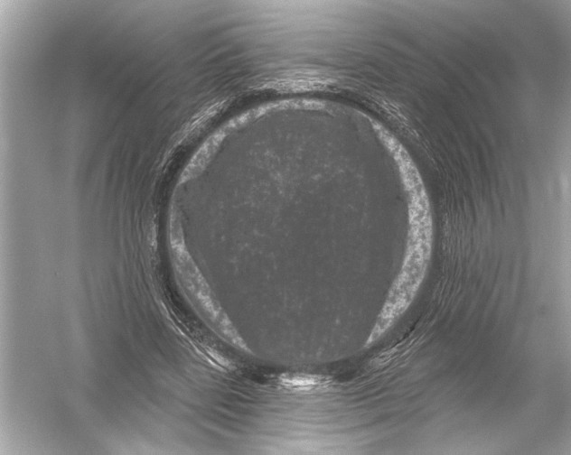 X0000051890539200507222018