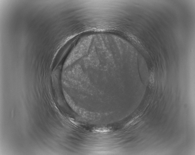 X0000051890540200507222018