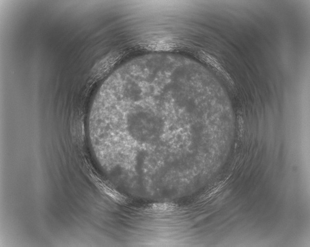 X0000051890541200507222018