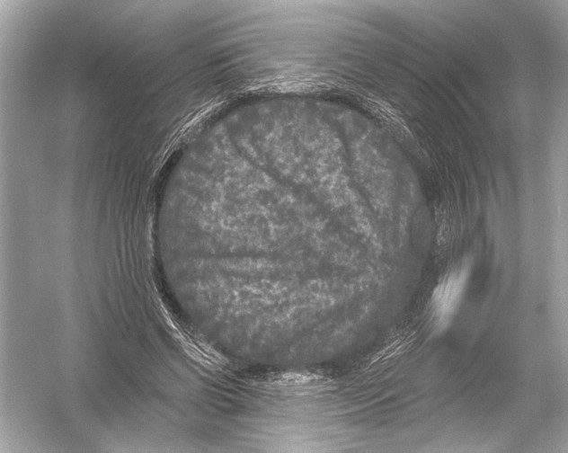 X0000051890542200507222018