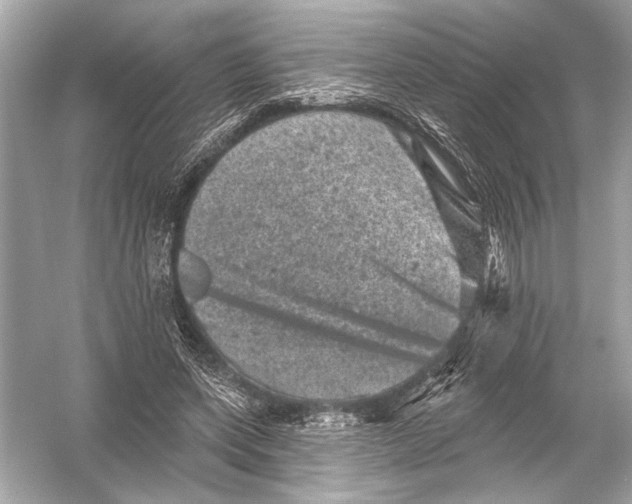 X0000051890543200507222018