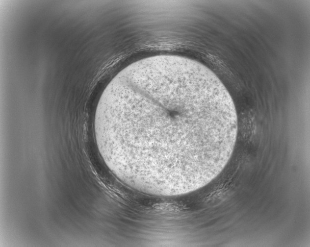 X0000051890544200507222018