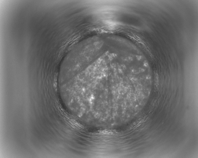 X0000051890545200507222018