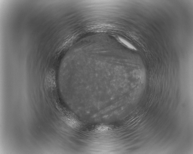 X0000051890547200507222018