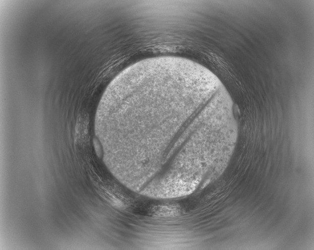 X0000051890548200507222018