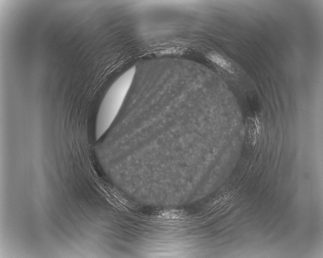 X0000051890550200507222018