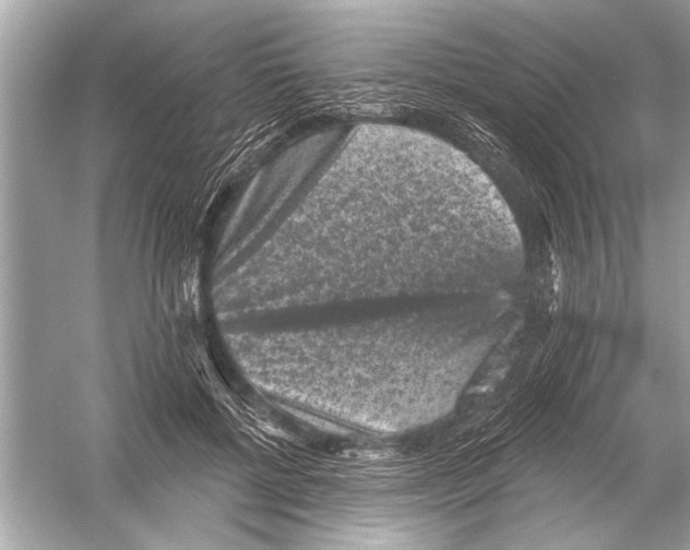 X0000051890552200507222018