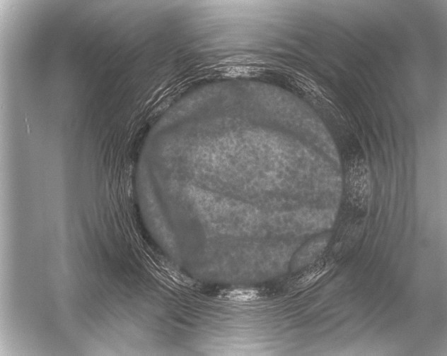 X0000051890554200507222018