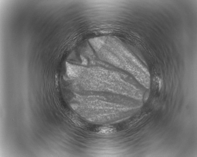 X0000051890555200507222019