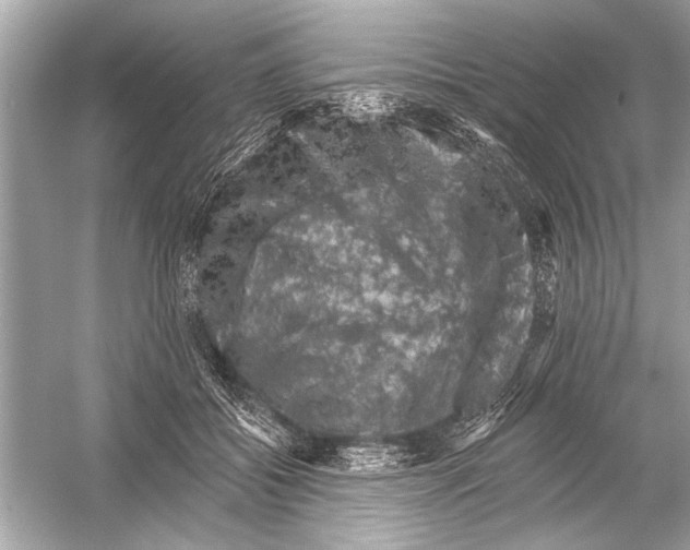 X0000051890556200507222019