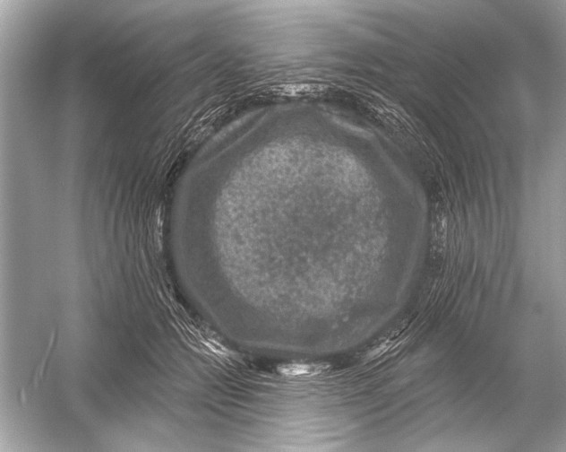 X0000051890558200507222019