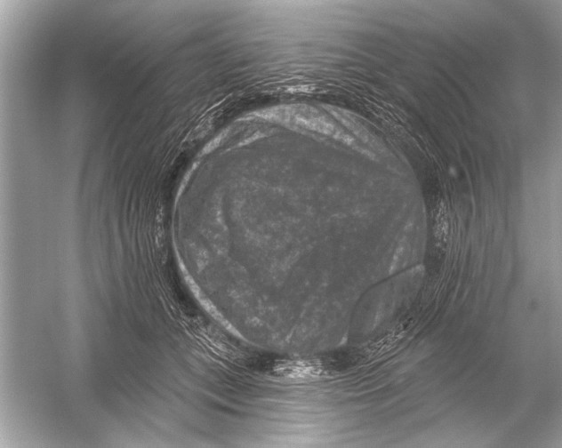 X0000051890559200507222019