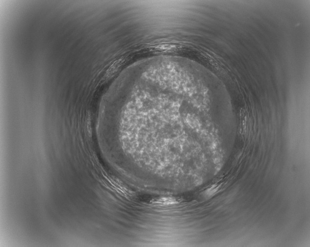 X0000051890562200507222019