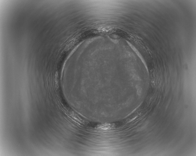 X0000051890563200507222019