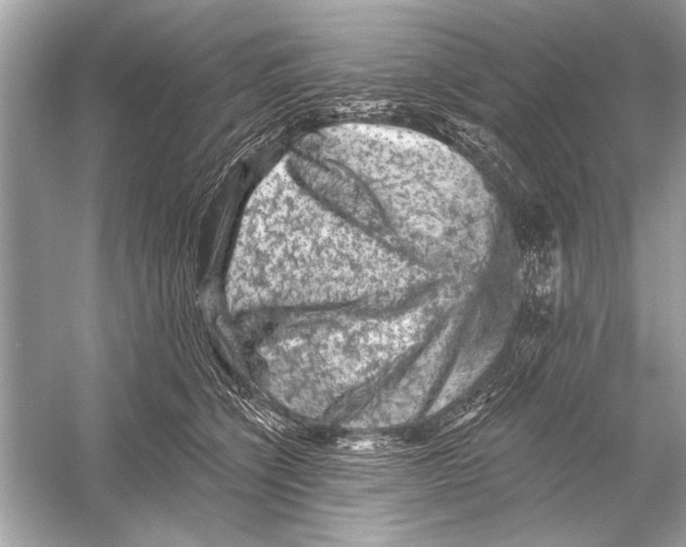 X0000051890564200507222019