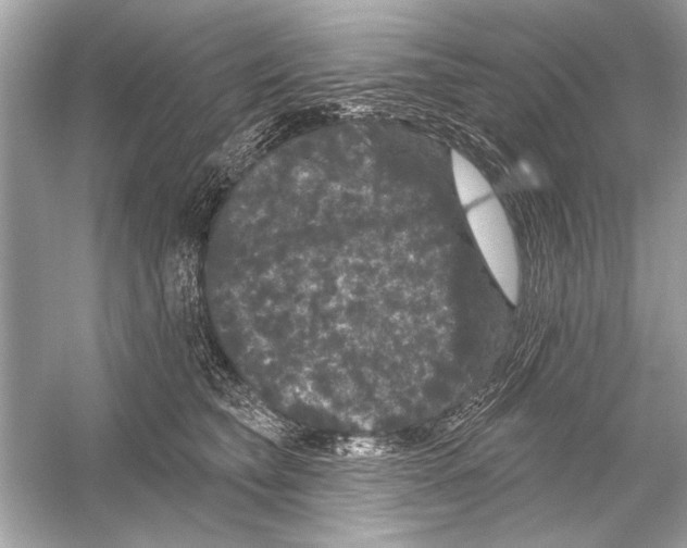 X0000051890565200507222019