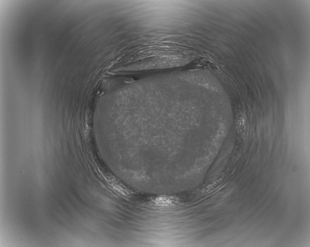 X0000051890566200507222019