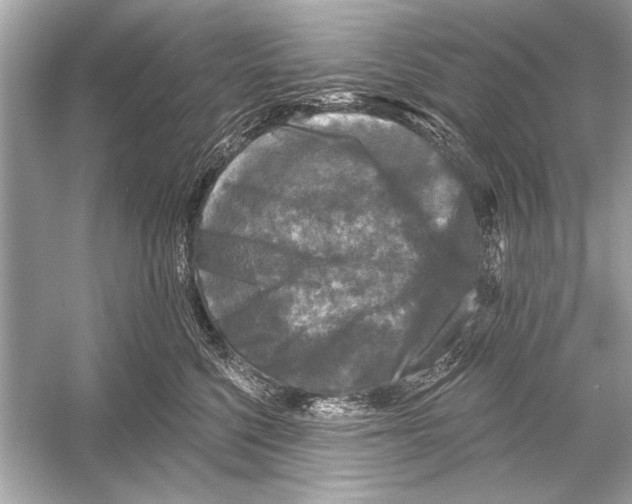 X0000051890568200507222019