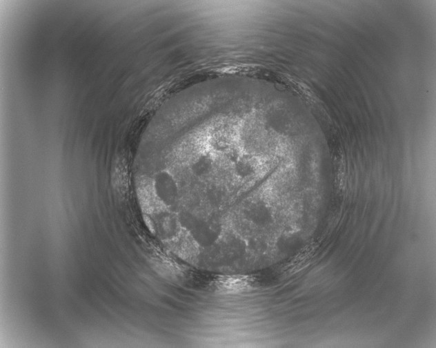 X0000051890569200507222019