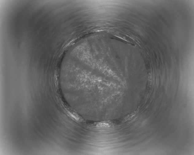 X0000051890572200507222019