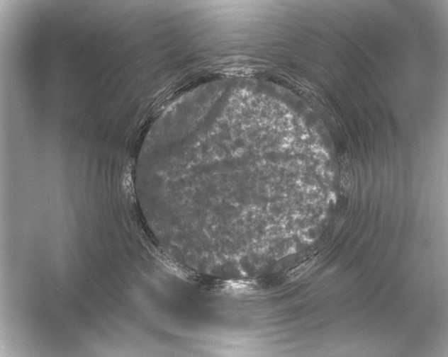 X0000051890573200507222019