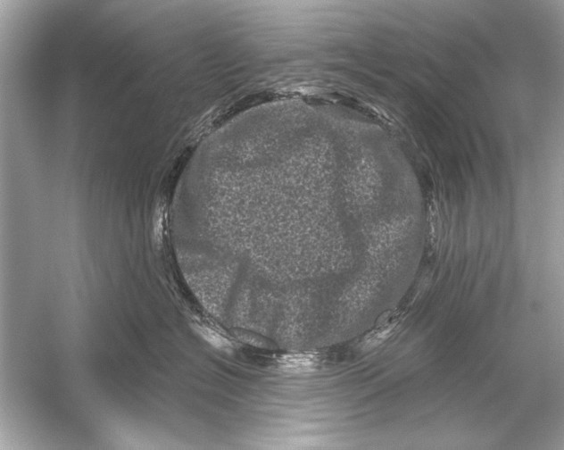 X0000051890574200507222019