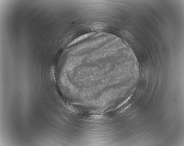 X0000051890575200507222019