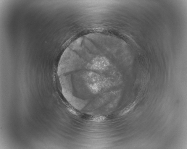 X0000051890576200507222019