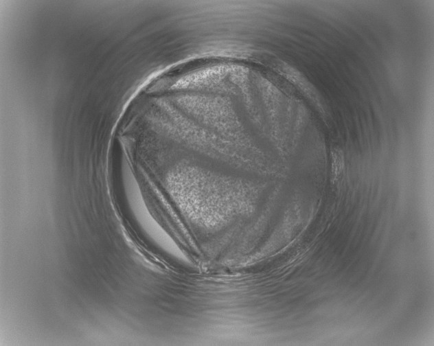 X0000051890580200507222018