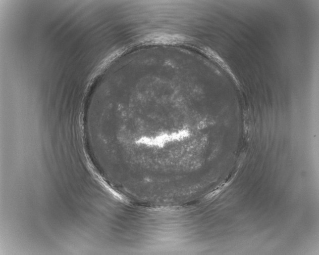 X0000051890581200507222018