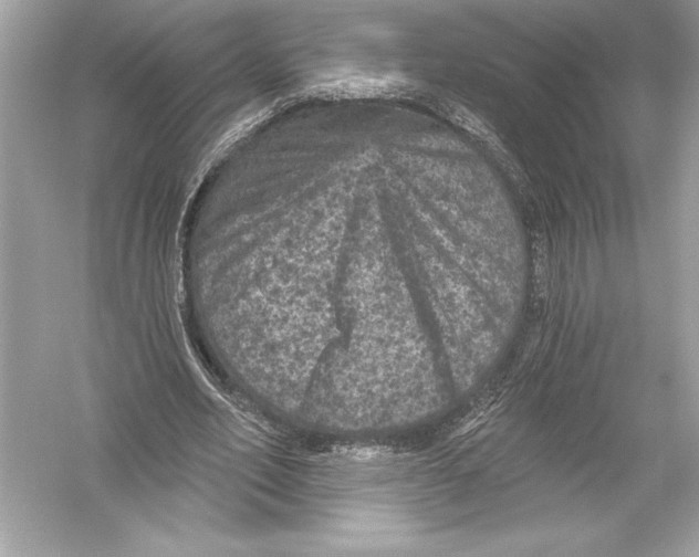 X0000051890582200507222018