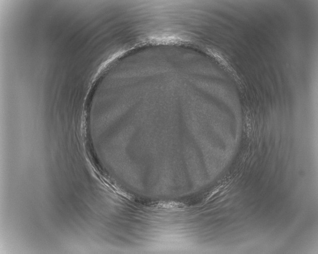 X0000051890583200507222018