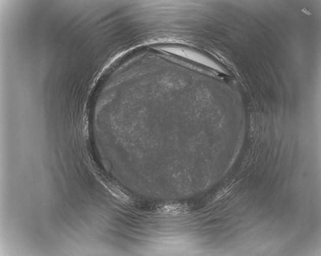 X0000051890584200507222018